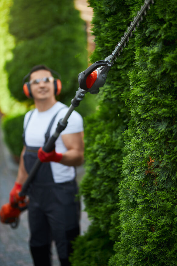 Garden Gurus: Crafting Perfect Outdoor Spaces