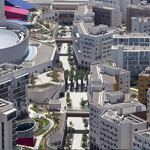 Tabasco Human Capital - Manpower Supply in abu dhabi: Project - New York University Abudhabi